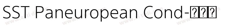 SST Paneuropean Cond字体转换